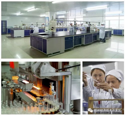 集中簽約，示范區明星企業精彩亮相——精心設計網站助力招商盛會