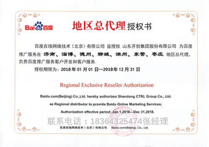 圖片資源與數字基建雙輪驅動 淄博總代理視角下的網站建設新機遇